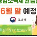 현금 1천만 원이 있다면 주목해야 할 AI 시대 필수 유망 종목 분석