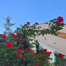 나누리약국 이미지