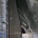 세정치과의원 이미지