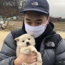 퍼플댕댕 이미지