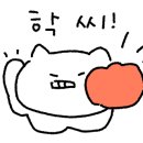 고운상사