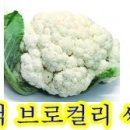 (주)씨앗 이미지