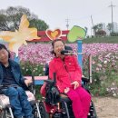 별별농장 이미지