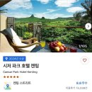 마작오락실 - 화성시 평6길 46 | 컨딩 숙소 추천 시저파크컨딩_ 위치좋은 리조트 내돈내산후기