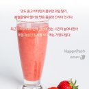보고펫