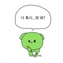문화체육관 | 제14회 중랑구청장배 및 연맹회장배 수영대회 &#39;광합셩&#39; 팀 참가후기 @중랑문화체육관(25.09.21)