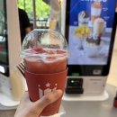 할리스커피 | 여의도 카페 할리스커피 수박주스 후기