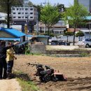 강남동-4 이미지