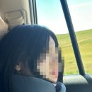 꿈꾸는 가축 인공수정소 | 6월 몽골 여행 준비물 후기 필수품 추천 공금 환전 꿀팁