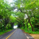 남열농장 이미지