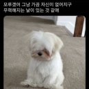 없음 이미지