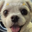 프리미엄 코인 노래연습장 이미지