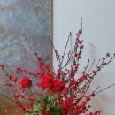 꽃사랑플라워 이미지