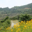 해수욕장길 이미지