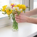 가정1-01-019 이미지