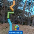 26.01 동서트레일1구간(태안 자연휴양림-백사장) 1 이미지