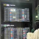 에어부산 | 에어부산 강아지 비행기 탑승 후기 반려동물 규정 준비 체크리스트