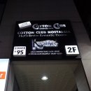 제이슨굿맨코튼클럽&화이트크리스마스 이미지