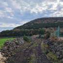 돗오름 주차장 이미지