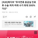 [속보]복지부 "추석연휴 응급실 진료 후 수술·처치·마취 수가 최대 300% 가산" 이미지