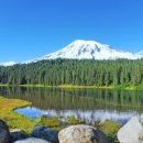 시애틀비호텔 이미지