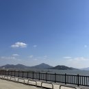 외포리꽃게집 | [강화도]내가 또간집 외포리꽃게집 꽃게탕맛집/강화도카페 메타포레스트 내돈내산 진짜 솔직후기