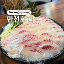 만선8 | 광명ㅣ일직동 프리미엄 숙성회와 신선한 해산물 맛집 벤자리돔 도전! 만선회관 내돈내산 솔직후기