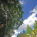 증미역 2번출구 앞 이미지