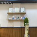충현동물병원 | 논현동 제제왁싱 위치.가격.시간.후기