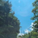 고란길(길안면) 이미지