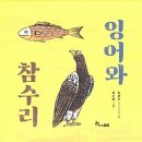 탄잉어