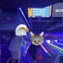 NR-33[가야로]-하-58 | 러기지택 그 후기 230924