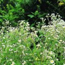 은혜병원 이미지