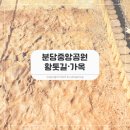 중앙공원(분당천보도2교) | 분당중앙공원 주차부터 황톳길 수내동가옥 산책 코스