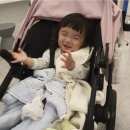 서울소아과의원 | 성남,위례 신흥동 강추하는 서울좋은청소년소아과 솔직후기