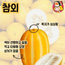 올리에프앤비 디너의 여왕