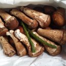 솔티농원 이미지