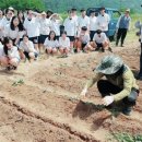 해성2농장 이미지