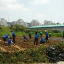 새마을농장 이미지