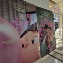 알사탕 팝업 구경 후기 알사탕 영화정보 잠실 롯데시네마 월드타워점 아이와볼만한영화 아이와볼만한...