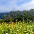 강가의아침 이미지