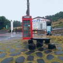 법환동 816-9 관광안내소 앞 횡단보도 | 11월 7일(토) 제주도 환상자전거길 개통일 홀로 라이딩