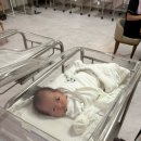 와이산후조리원 연수점 | 와이산후조리원연수점 13박14일후기/마사지/가격/시설/객실/난방/분유/기저귀/아기용품/면회/신생아실