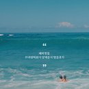 197 | 해미맛집 브라질떡볶이 얄개분식 방문후기