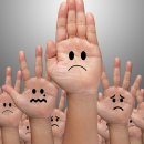 현대동물병원 애견용품 이미지