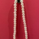 스파츄스 이미지