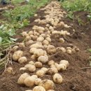 김명화농장 이미지