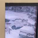 523 | ᰔᩚ 정선숙소 | 스테이523 재방문 후기 (통창 뷰 좋은 조용한 숙소)