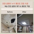 신봉1로71번길 | 화장실 욕실 천장 곰팡이 제거 페인트 작업 용인 분당 성남 수원