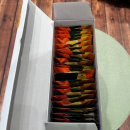 Green25 | 견과류추천)Green Nut 오색매일채움견과 구매후기